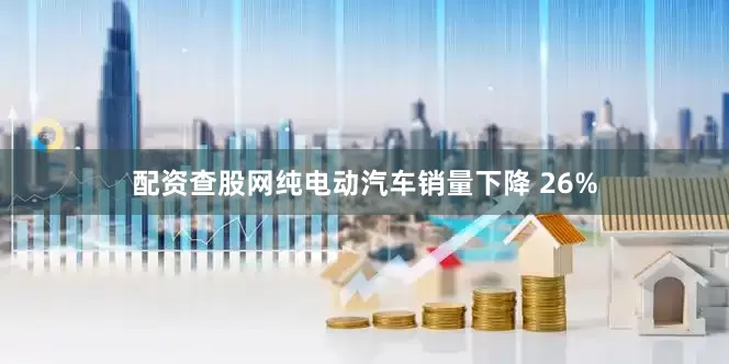 配资查股网纯电动汽车销量下降 26%