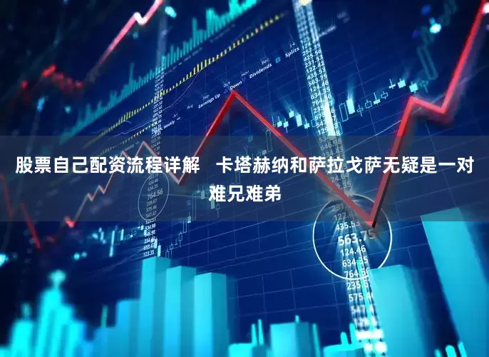 股票自己配资流程详解   卡塔赫纳和萨拉戈萨无疑是一对难兄难弟