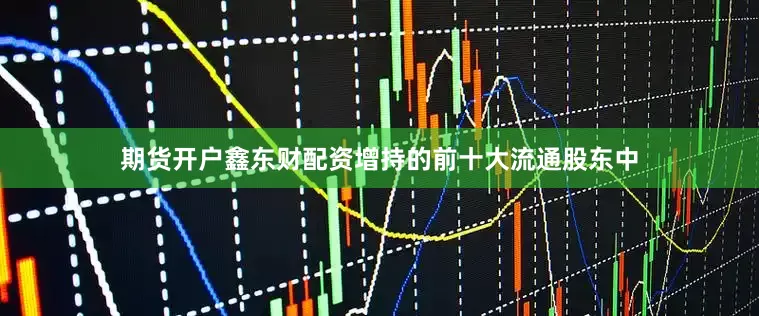 期货开户鑫东财配资增持的前十大流通股东中