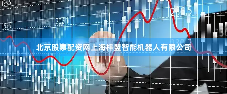 北京股票配资网上海梓盟智能机器人有限公司