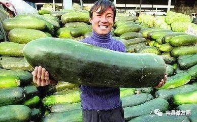 吃瓜星人来了,揭秘娱乐圈幕后故事