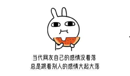 熬夜的人有瓜吃,揭秘熬夜者的“瓜”世界