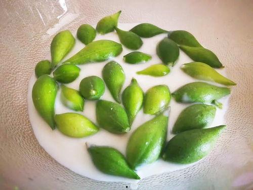 吃瓜解乏,轻松愉悦的休闲时光