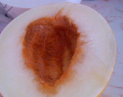 胃酸可以吃伊丽莎白瓜吗,胃酸过多人群的伊丽莎白瓜食用指南