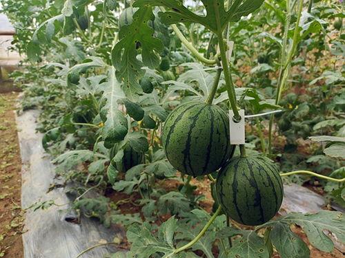 吃瓜小迷,揭秘娱乐圈那些不为人知的幕后故事