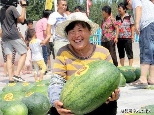 沙河最火吃瓜视频,揭秘最火视频背后的热点事件