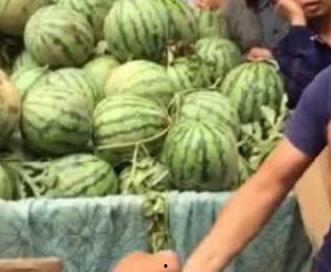 韩城吃瓜热门事件视频,揭秘网络热议背后的真相