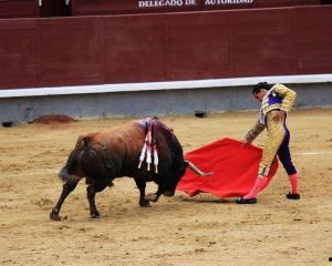 西班牙斗牛吃瓜视频,揭秘西班牙斗牛吃瓜背后的故事