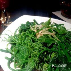 云南人吃佛手瓜好吗视频,佛手瓜的美味之旅