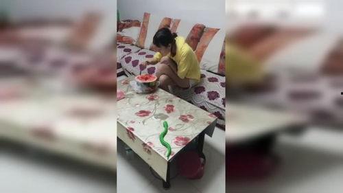 整蛊朋友吃瓜视频,笑料百出！揭秘整蛊朋友吃瓜视频幕后趣事