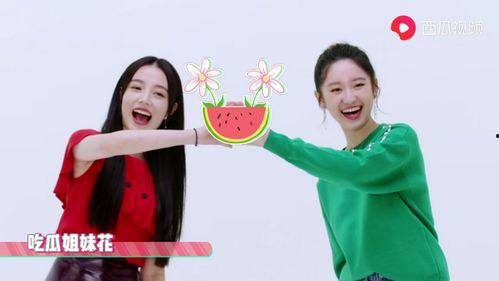 女乒采访吃瓜视频播放,揭秘赛场背后的趣味瞬间