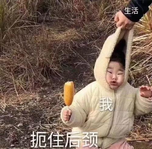 陪你吃瓜沙雕女孩视频,欢乐无限视频回顾